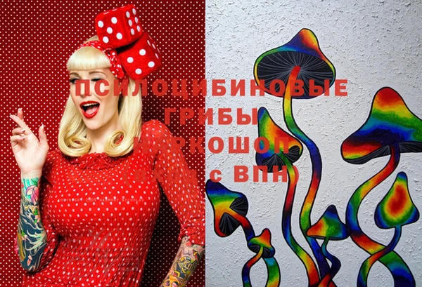 ешки Щёлкино