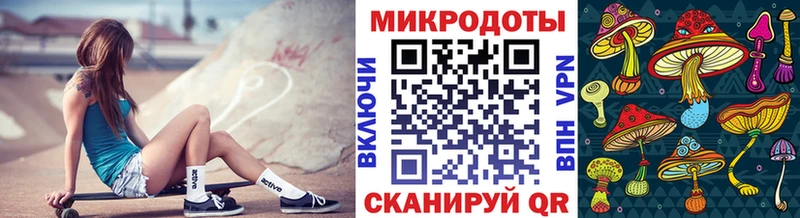 Галлюциногенные грибы Psilocybe  Купить где  Трубчевск 